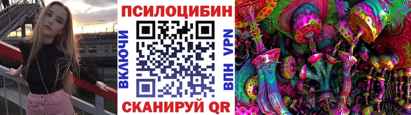 Галлюциногенные грибы Psilocybine cubensis  Костомукша 